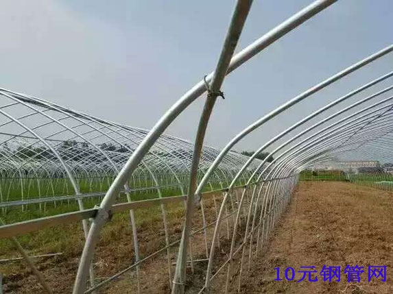大棚斜撐、卡槽連接圖片