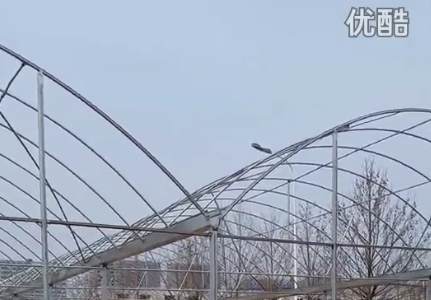 簡(jiǎn)易連棟大棚高清視頻拍攝